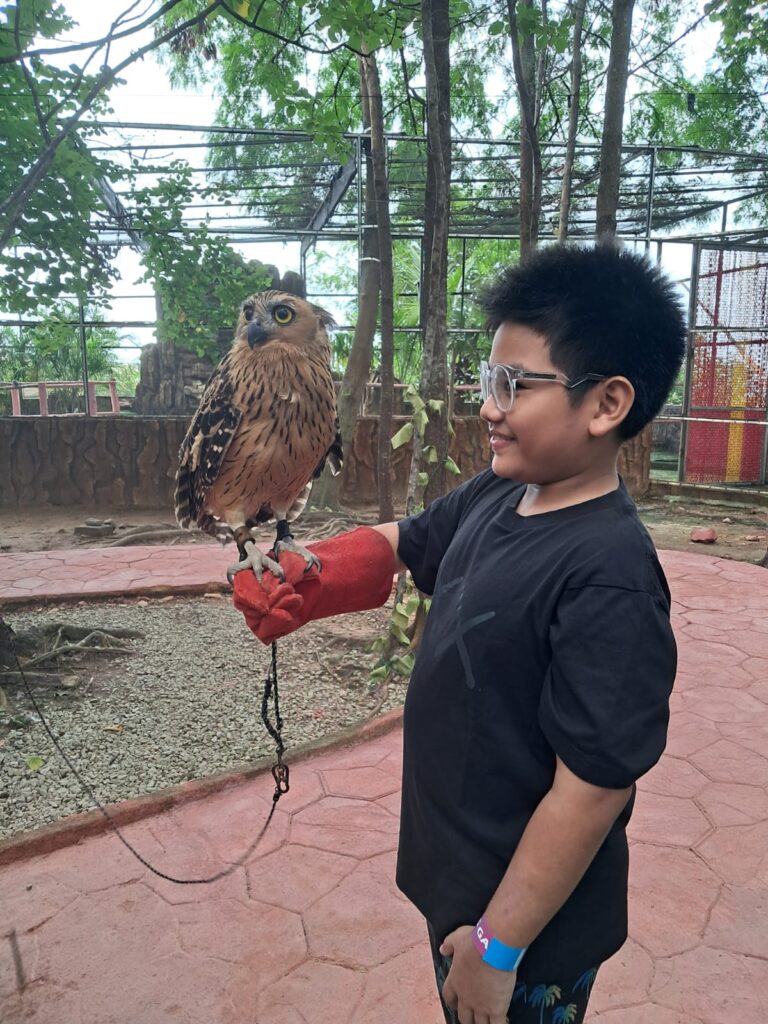 WhatsApp Image 2026-02-10 at 22.16.06